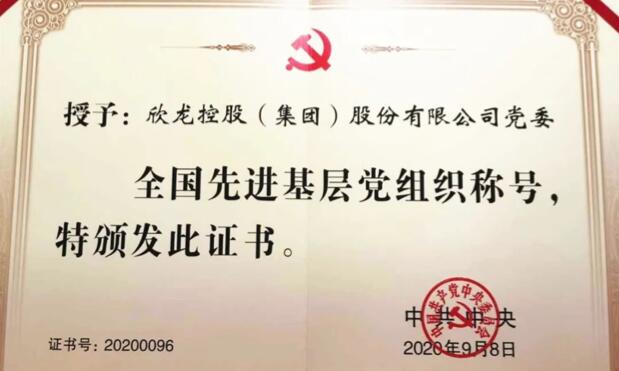 【動態(tài)新聞】表彰！欣龍控股榮獲兩項國家級重要榮譽